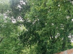 -上海佘山国家森林公园天马山园