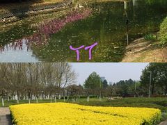 -白塘生态植物园