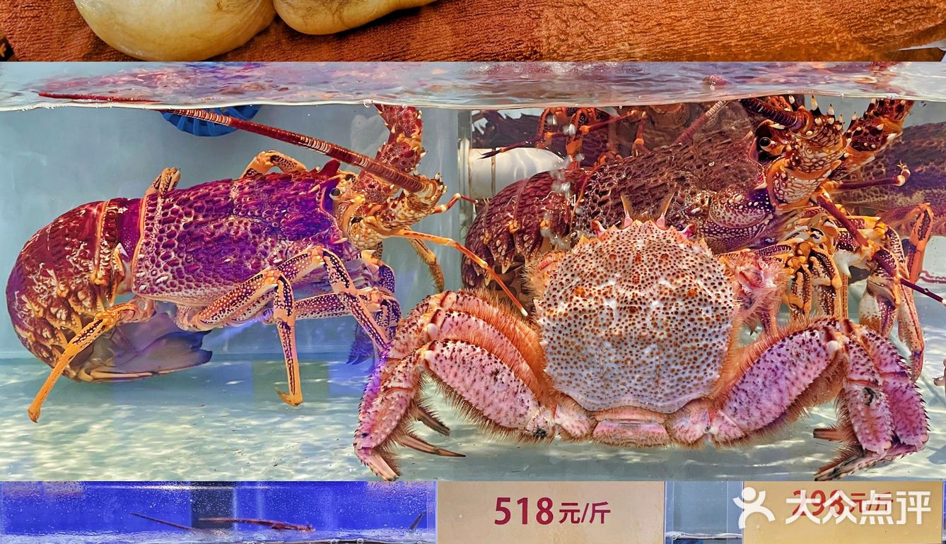 珠海美食｜新鲜高级海鲜火锅🦞新年聚餐首选‼️