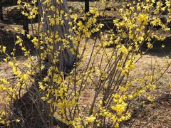 -长春公园(普阳街道)