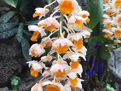 -南通洲际绿博园