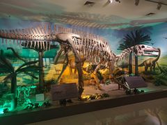 -甘肃地质博物馆