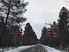 -北极村旅游风景区