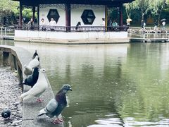-西园戒幢律寺