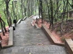 -老君山