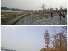 -海珠湖公园