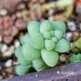 入坑3年 感谢你们的陪伴