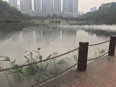 -重庆彩云湖湿地公园
