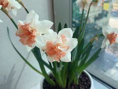 -福田卓悦INTOWN购物中心