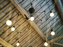 -喵屿·大理花园猫咖