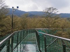 -陶祖圣境风景区