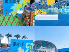 -海合安天津极地海洋公园