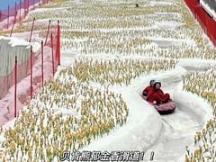 -广州热雪奇迹