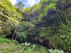 -海口火山口国家地质公园