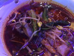 -夜火烤摊·东北烧烤酒场·老杨小黄鱼