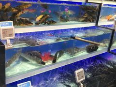-盒马鲜生(昆城店)