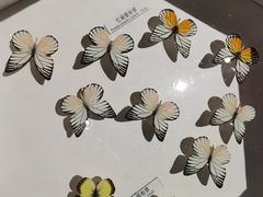 -青藏高原自然博物馆