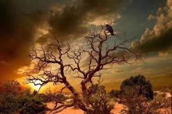 -YASAKI国际舞蹈中心