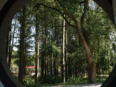 -李时珍纪念馆