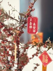 -栖SPA·ONDA ·海菲秀·皑皑科技美肤中心