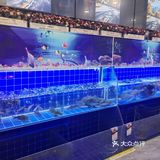 打卡三顶轩