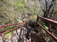 -王顺山国家森林公园