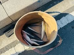 -阳澄湖半岛旅游度假区