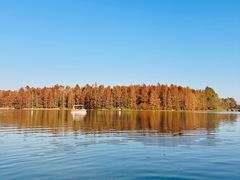 -上海海湾国家森林公园