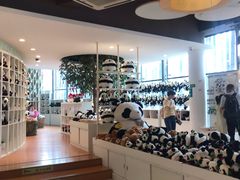 -大连森林动物园熊猫馆纪念品商店