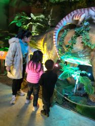 点击看大图 -恐龙探索乐园(磁器口店)