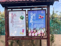 -菊园百果园
