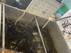 -铁锅炖灶台鱼老三炖鱼馆