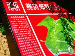 -白水寺森林公园