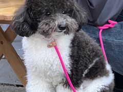 -秦镇史玉林凉皮(翡丽城店)