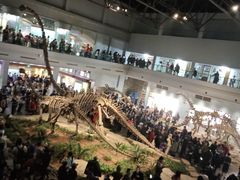 -自贡恐龙博物馆