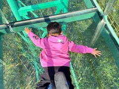 -陶祖圣境风景区