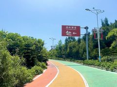 -湄洲岛