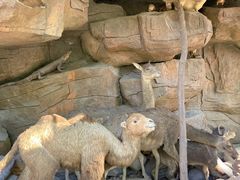 -游龙石文化科普馆