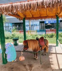 -萌宠亲子动物乐园(槐房万达店)