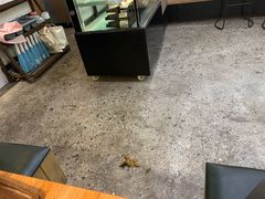 -查令84号咖啡馆(金大地1912东西街店)