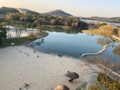 -上海佘山世茂艾美酒店