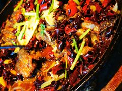 老板恋上鱼-老板恋上鱼(印象城店)