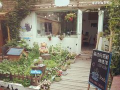 android_upload_pic-海边的猫和咖啡馆