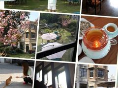 android_upload_pic-大可堂普洱茶馆(襄阳南路馆)
