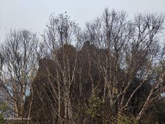 -白草畔自然风景区