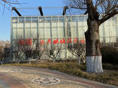 -燕郊植物园