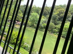 -云溪植物园