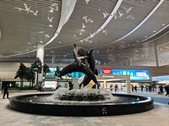 -青岛胶东国际机场