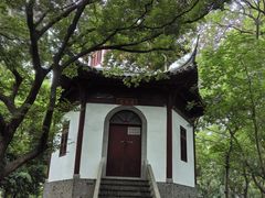 -上海佘山国家森林公园天马山园