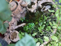 -悦真雅院·四合院·清真私房菜(雍和宫店)